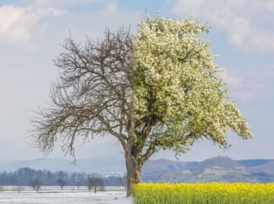 What Are Meteorological Seasons Vs. Astronomical Seasons? featured image