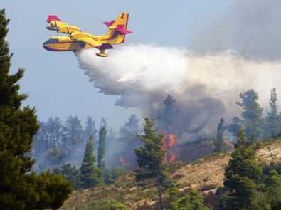 9 Tips To Reduce The Threat Of Wildfires featured image