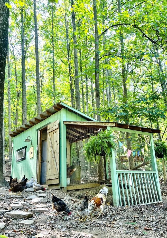 Chicken coop after renovation.