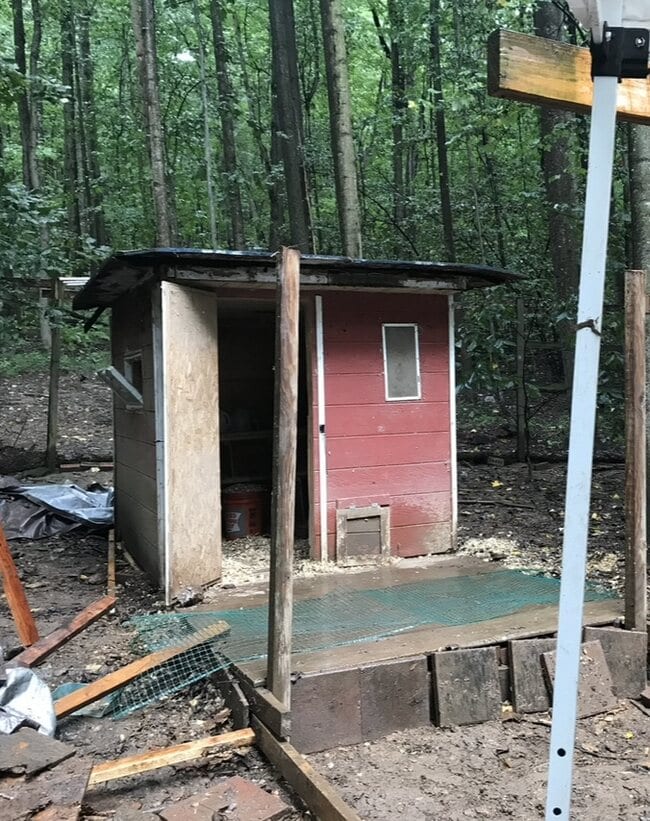 Old chicken coop before renovation.