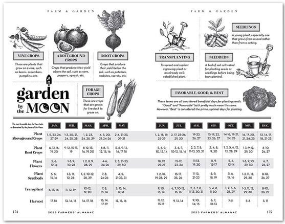 Farmers' Almanac promotional edition image 2
