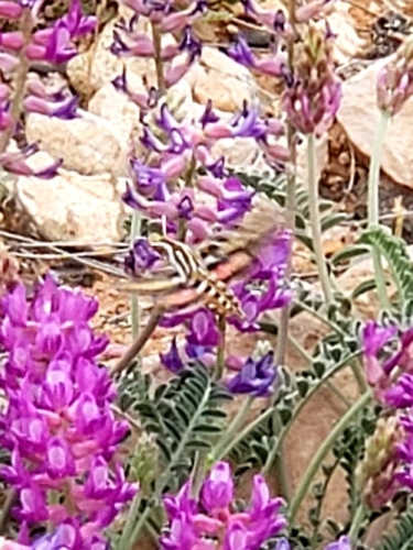 20230412_120354.jpg