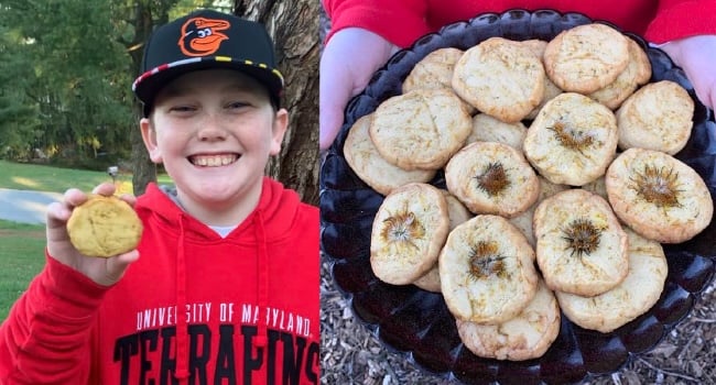 Dandelion shortbread cookies recipe.