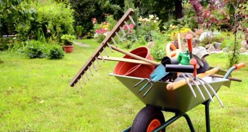Mother's Day rule in gardening - it is safe to garden Mother's Day and beyond without worrying about frost.