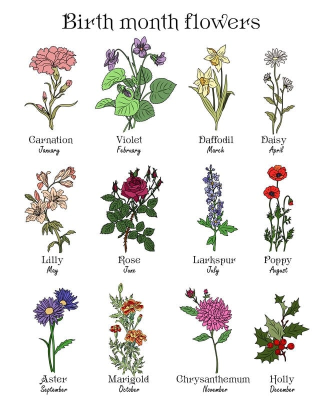 Birth month flowers by month.
