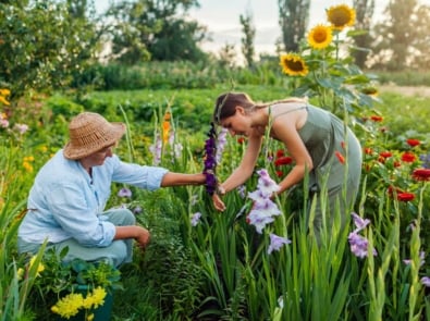 Birth Month Flowers: How To Plant A Family Garden featured image