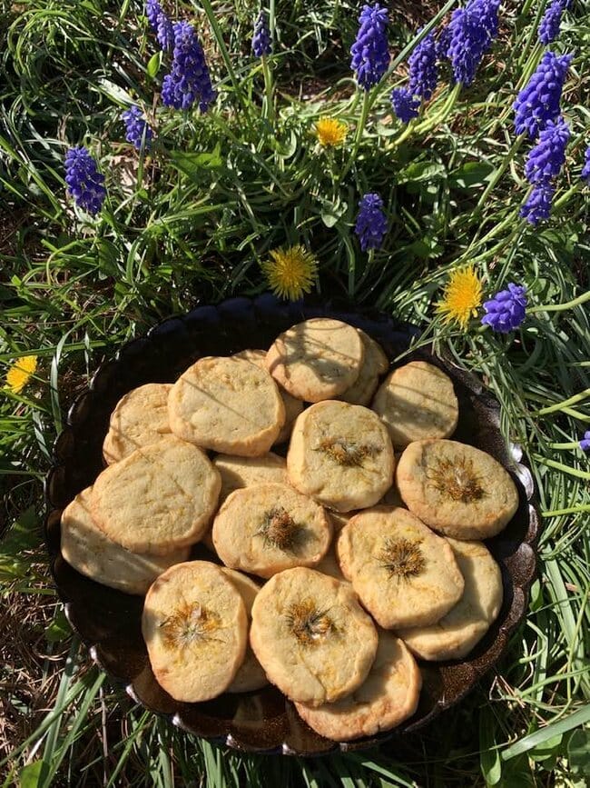 Shortbread cookies with dandelions!