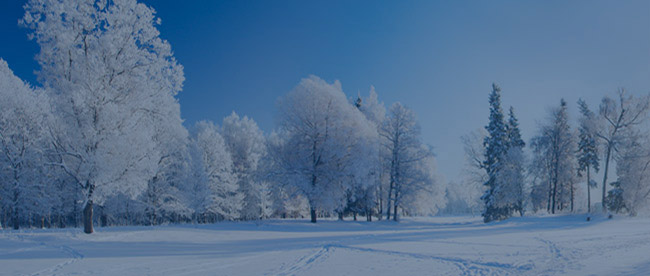 Winter 2024 Extended Weather Forecast