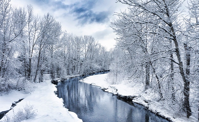 Farmers' Almanac winter 2024 Extended Weather Forecast.