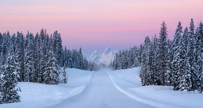 Snowstorm with pine trees and mountains.