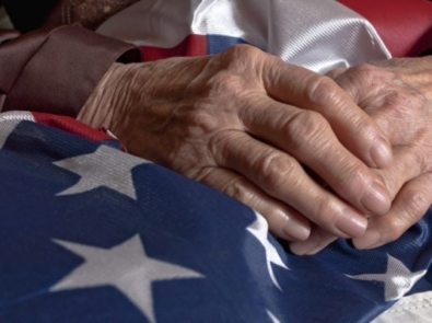 Veterans Day | Date and Meaning featured image