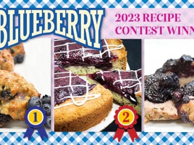 2023 Winning Blueberry Recipes featured image