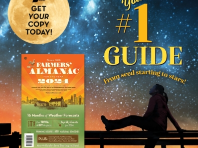 Your #1 Guide—from Seed Starting to Stars! featured image