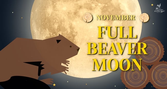 November Full Beaver Moon 
