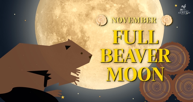 November Full Beaver Moon