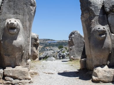 Lion’s Gate Portal: Meaning, Dates, and the 8/8 Astronomy featured image