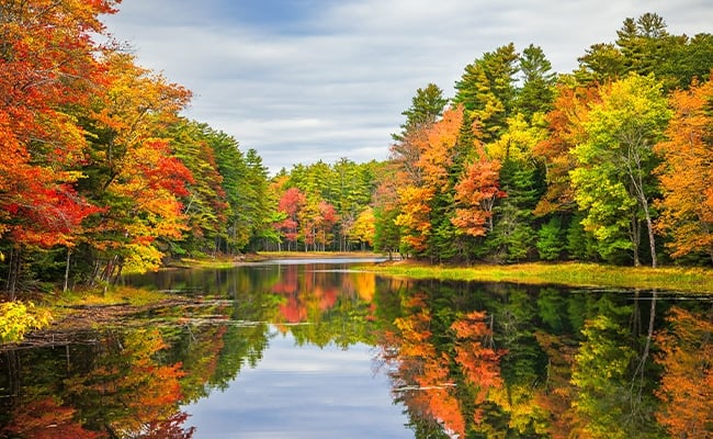 Fall leaves reflecting in the water.