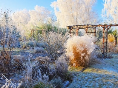 What Are The Benefits Of Snow In The Garden? featured image