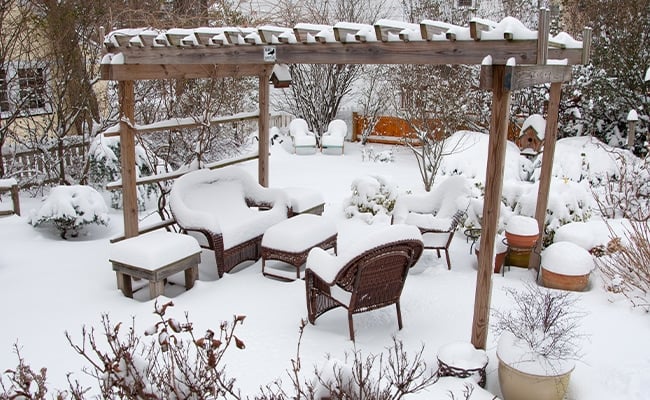 A garden covered in snow.