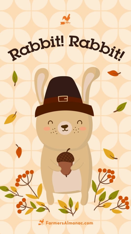 An illustration of a rabbit with an acorn.
