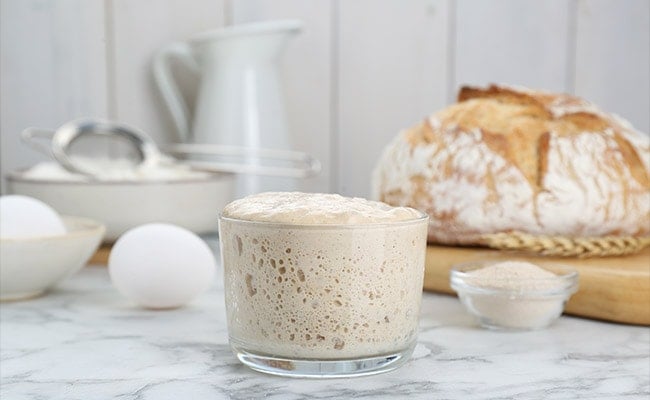 How to feed sourdough starter represented by sourdough bread starter with bubbles.
