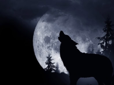 Wolf Moon Horoscopes — January 2024 featured image