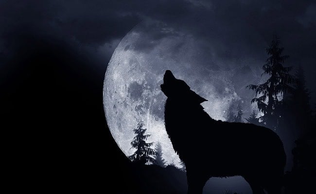 Wolf Moon Horoscopes — January 2024 - Farmers' Almanac - Plan Your Day.  Grow Your Life.