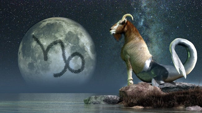 Capricorn, the sea-goat, one of the symbols for January.