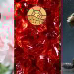 Symbols for January birth month, the carnation, garnet stone, and Capricorn zodiac sign.