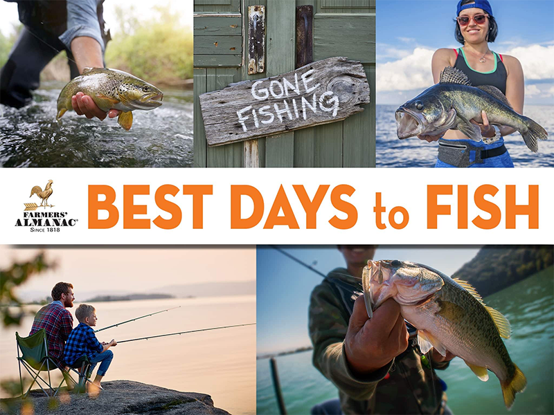 Fishing Calendar - Best Days to Fish from Farmers' Almanac