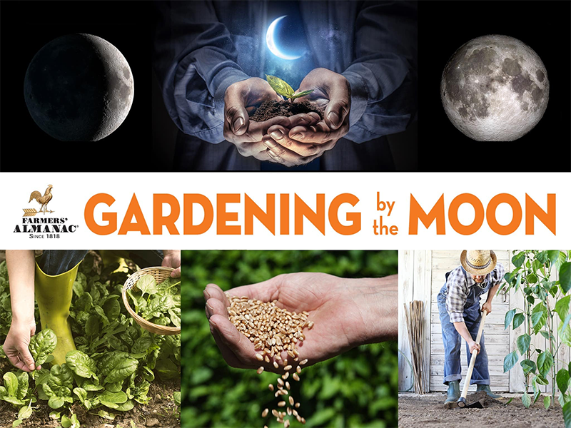 Farmers' Almanac Planting Calendar, Gardening by the Moon
