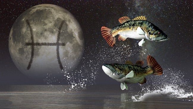 Pisces, one of the symbols for March.