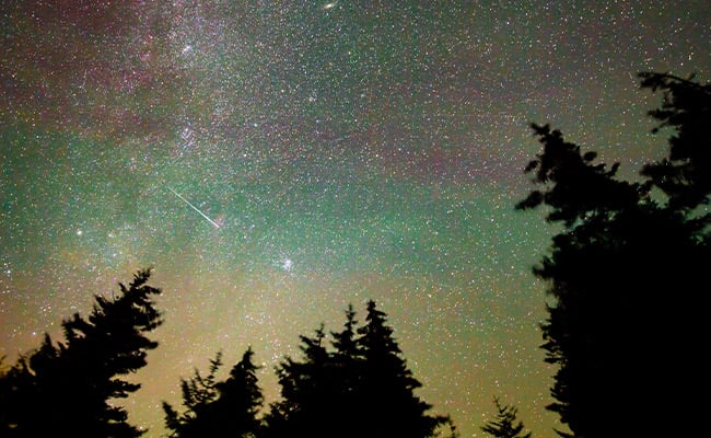 Shooting stars in a twilight morning sky above pine trees.