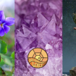 Symbols for February birth month, the violet flower, amethyst birthstone, and Aquarius zodiac sign.