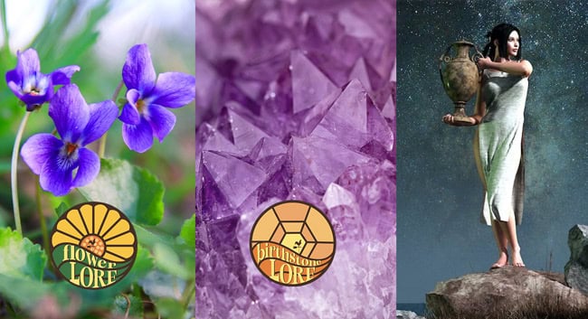 Symbols for February birth month, the violet flower, amethyst birthstone, and Aquarius zodiac sign.