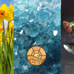 Symbols for March birth month, daffodils, aquamarine birthstone, and Pisces zodiac sign.