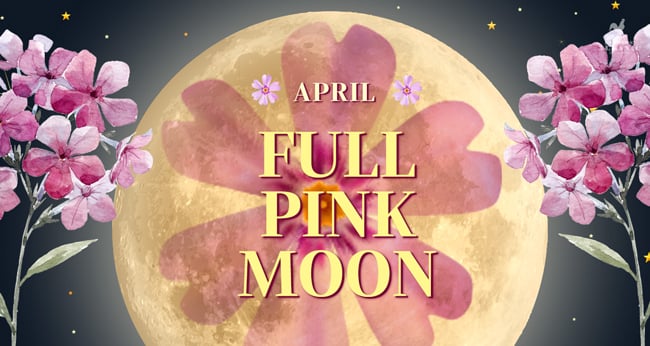 April's Pink Moon and fun facts represented by a full Moon and pink flowers.