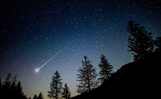 A shooting star from the Lyrid Meteor Shower over pine trees.