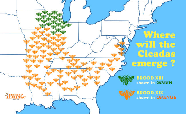 Cicadas 2024 map showing where two broods of periodical cicadas will emerge.