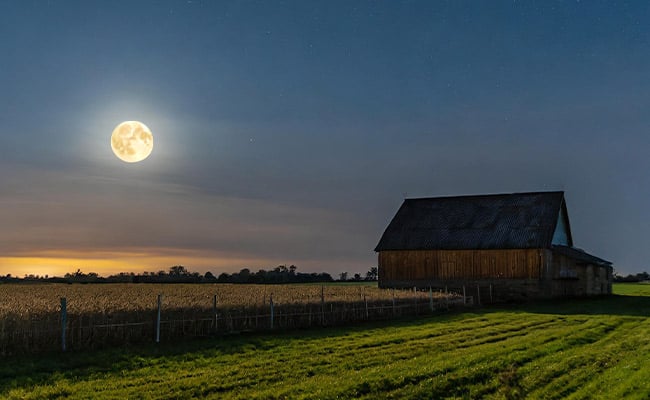 March Worm Moon astrology report represented by a full Moon beside a barn in early spring and green grass in the foreground.