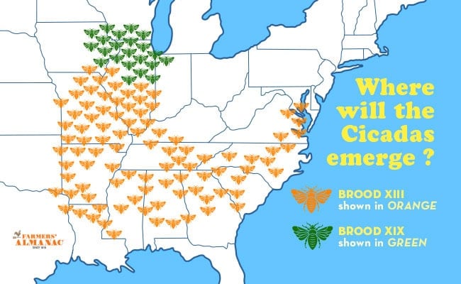 Attack Of The Cicadas 2024 Map, FAQ, And Tips (2024)