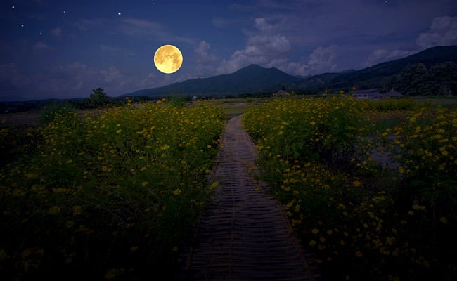 Worm Moon full Moon astrology represented by a golden full Moon above a pathway at dusk.