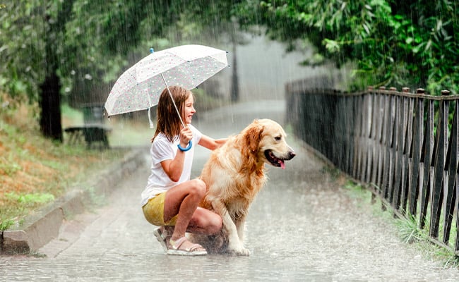 A girl holding an umbrella with her dog in the rain.
