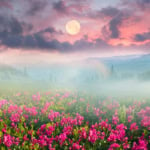 Flower Moon astrology report represented by a full Moon in a misty sky over dark pink flowers.