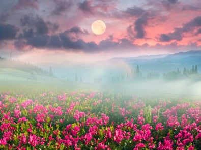 Flower Moon Horoscopes — May 2024 featured image