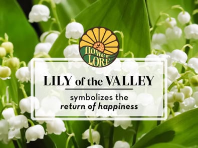 May fun facts and birth flower, lily of the valley, which symbolizes the return of happiness.