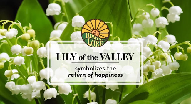 May fun facts and birth flower, lily of the valley, which symbolizes the return of happiness.