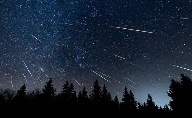Shooting stars in the May sky from the Eta Meteor Shower over pine trees.