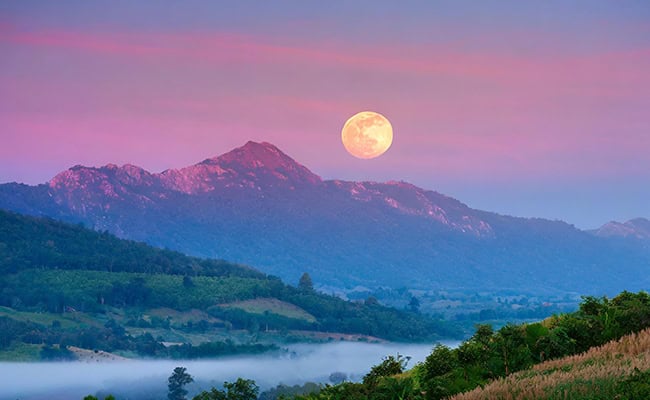 Pink Moon astrology report represented by a full Moon in a pink sky over purple and blue mountains.