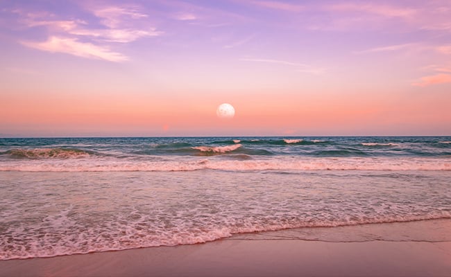 Pink Moon astrology represented by a full Moon rising in a purple sky and a tropical beach in the foreground.